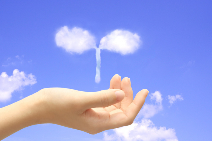 求人媒体の選び方